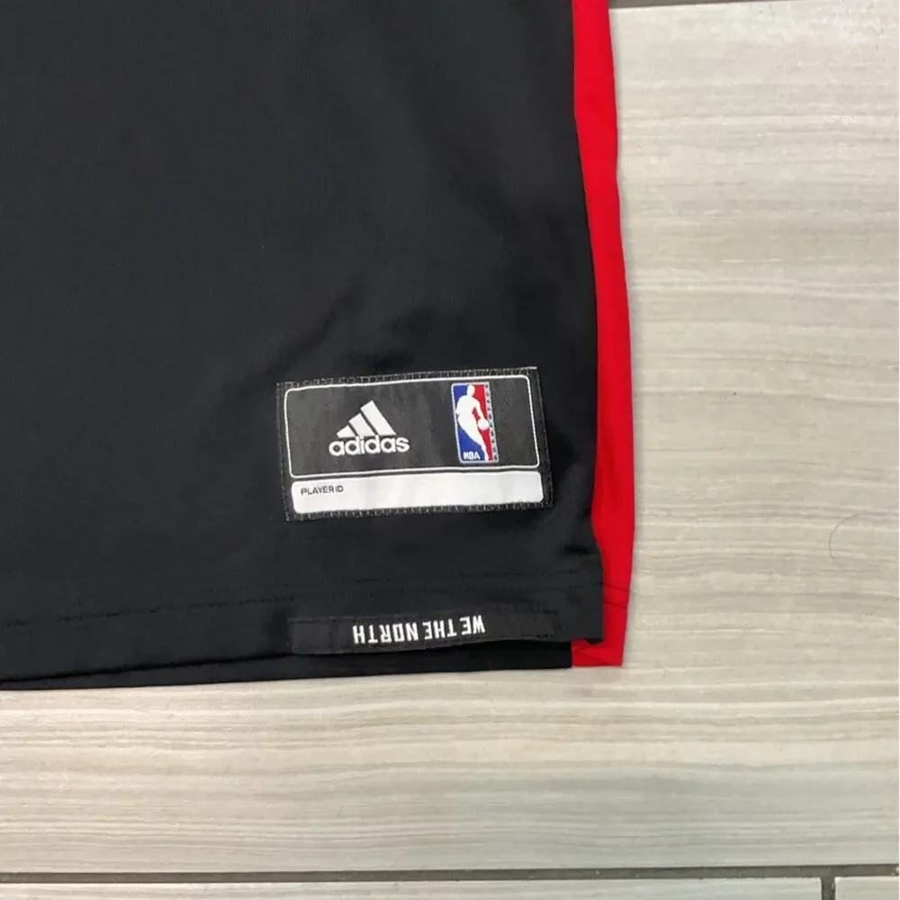 Adidas Toronto Raptors Kyle Lowry #7 Jersey